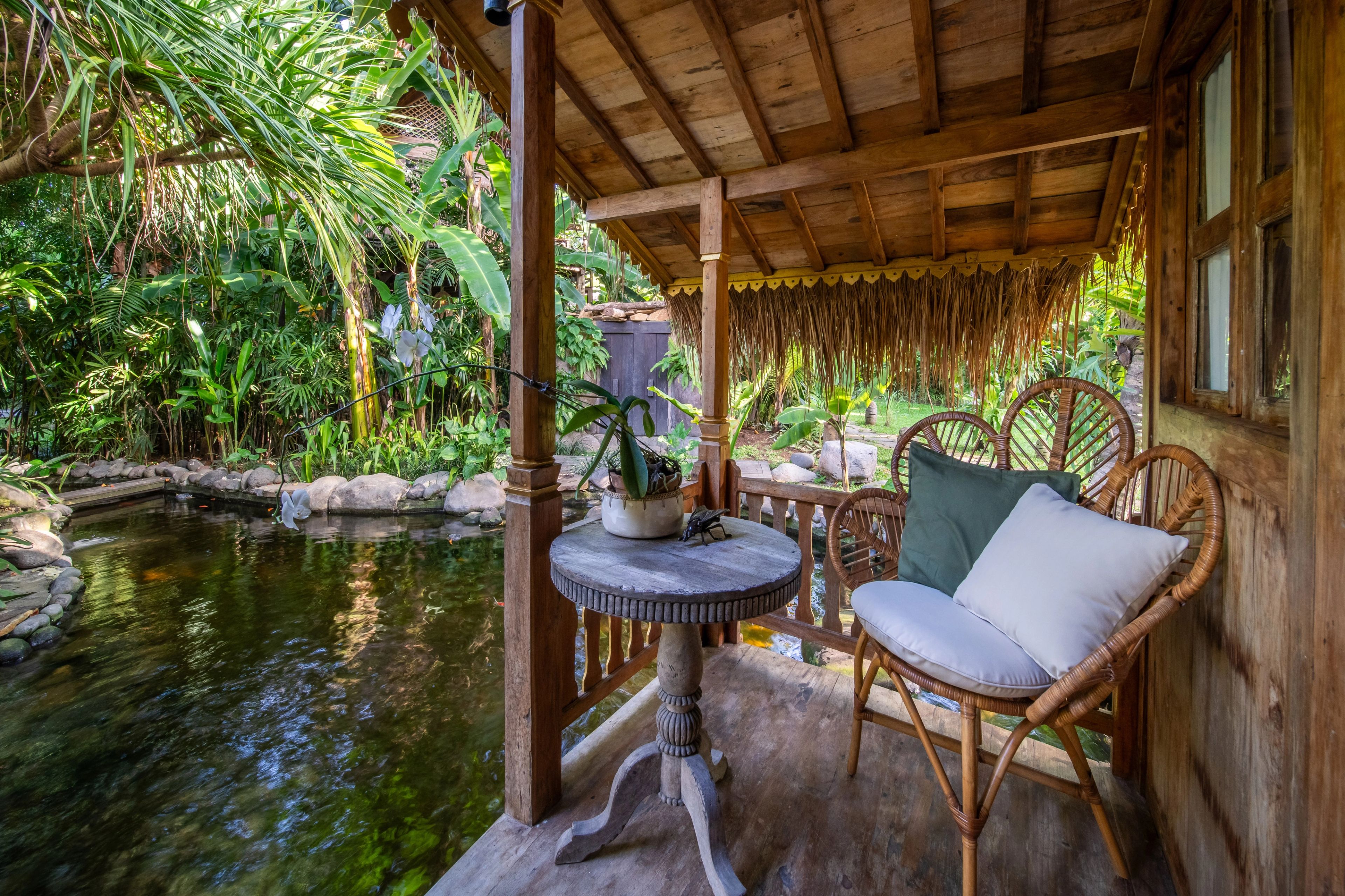 Jungle path