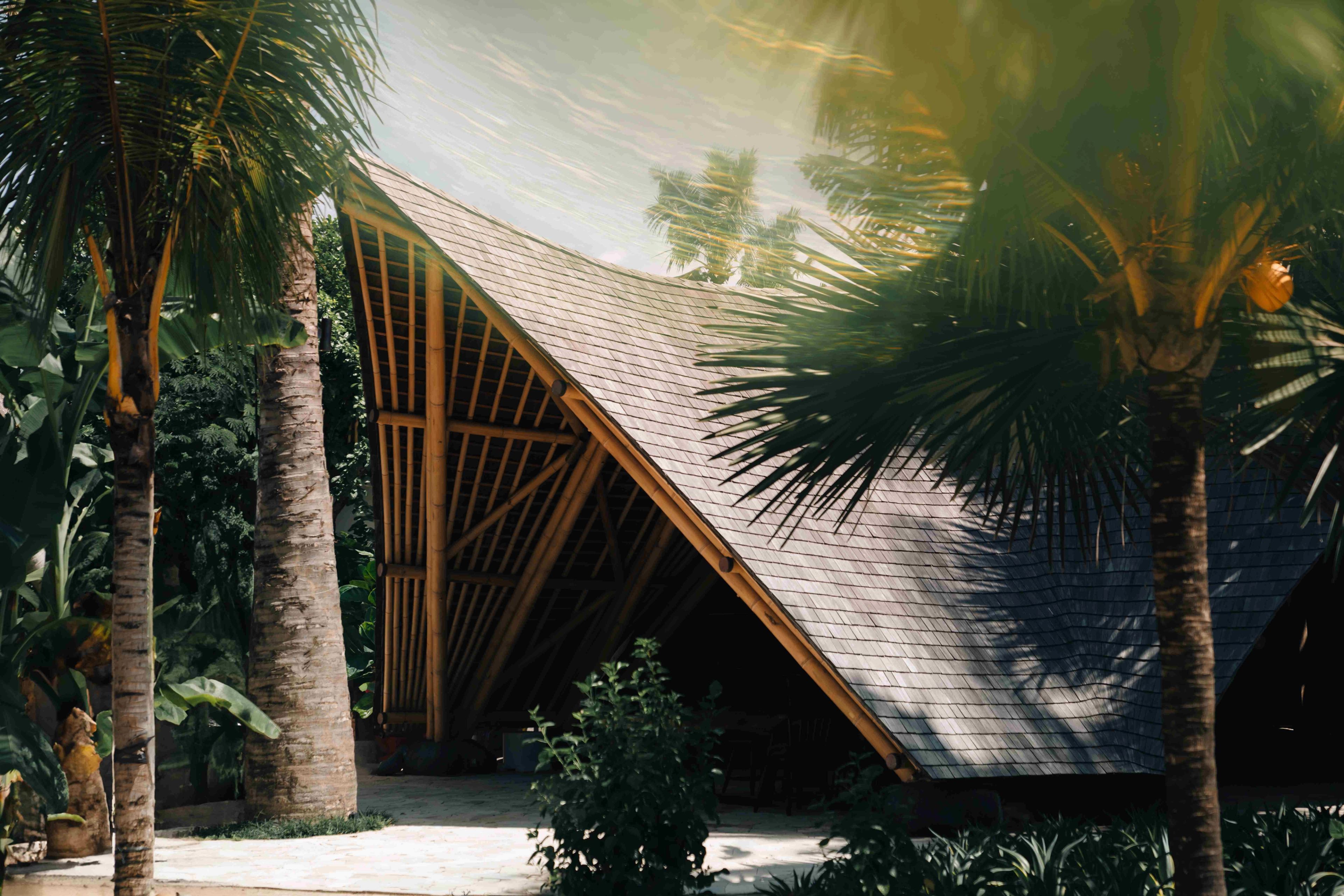 The pitched bamboo roof of the restaurant rising between palms in late afternoon light.