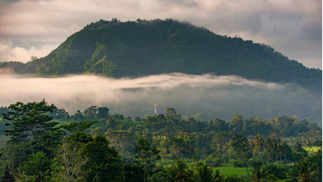 Everything Worth Seeing on an Eastern Bali Tour