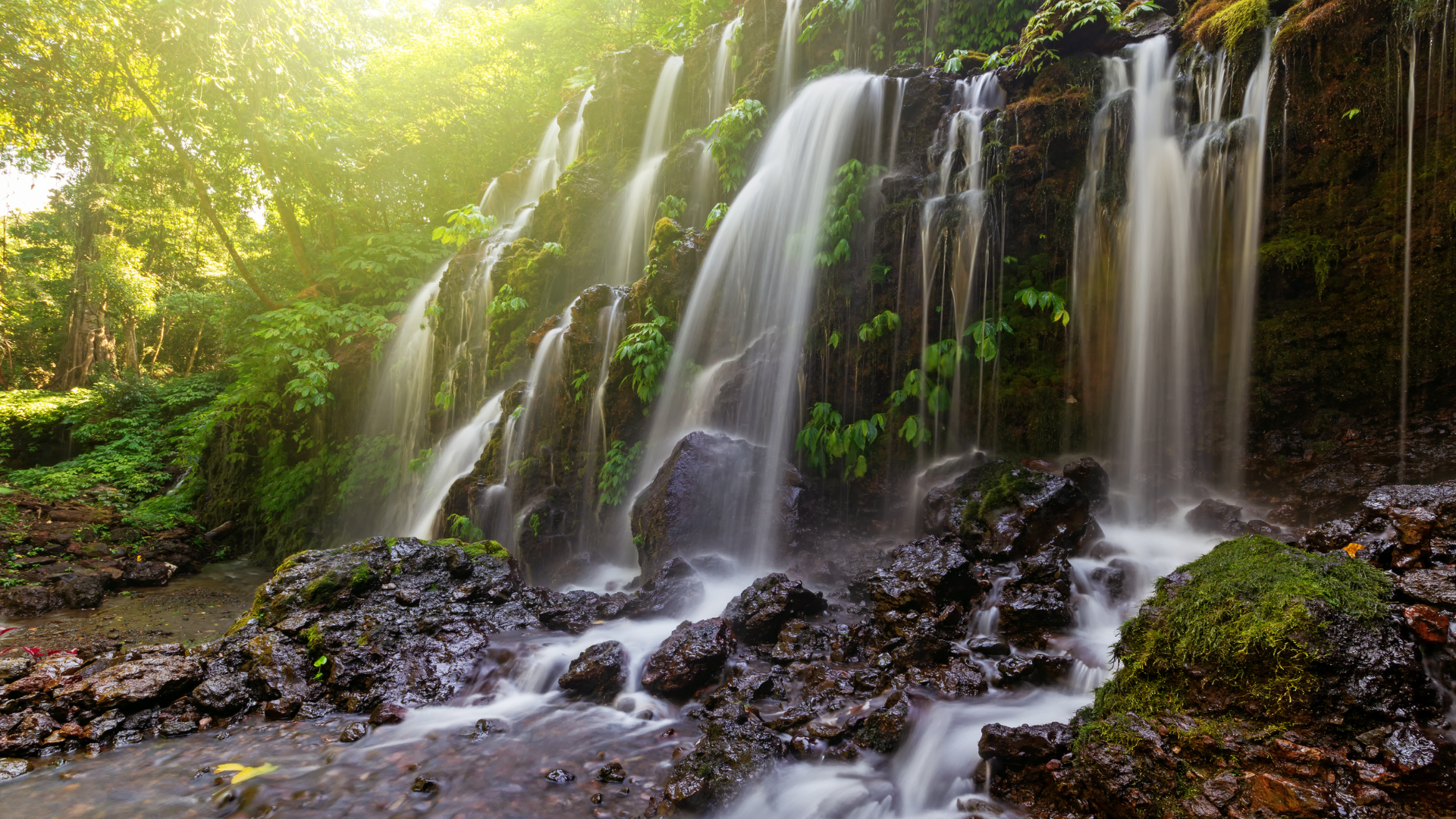 Palemahan: Harmony With Nature