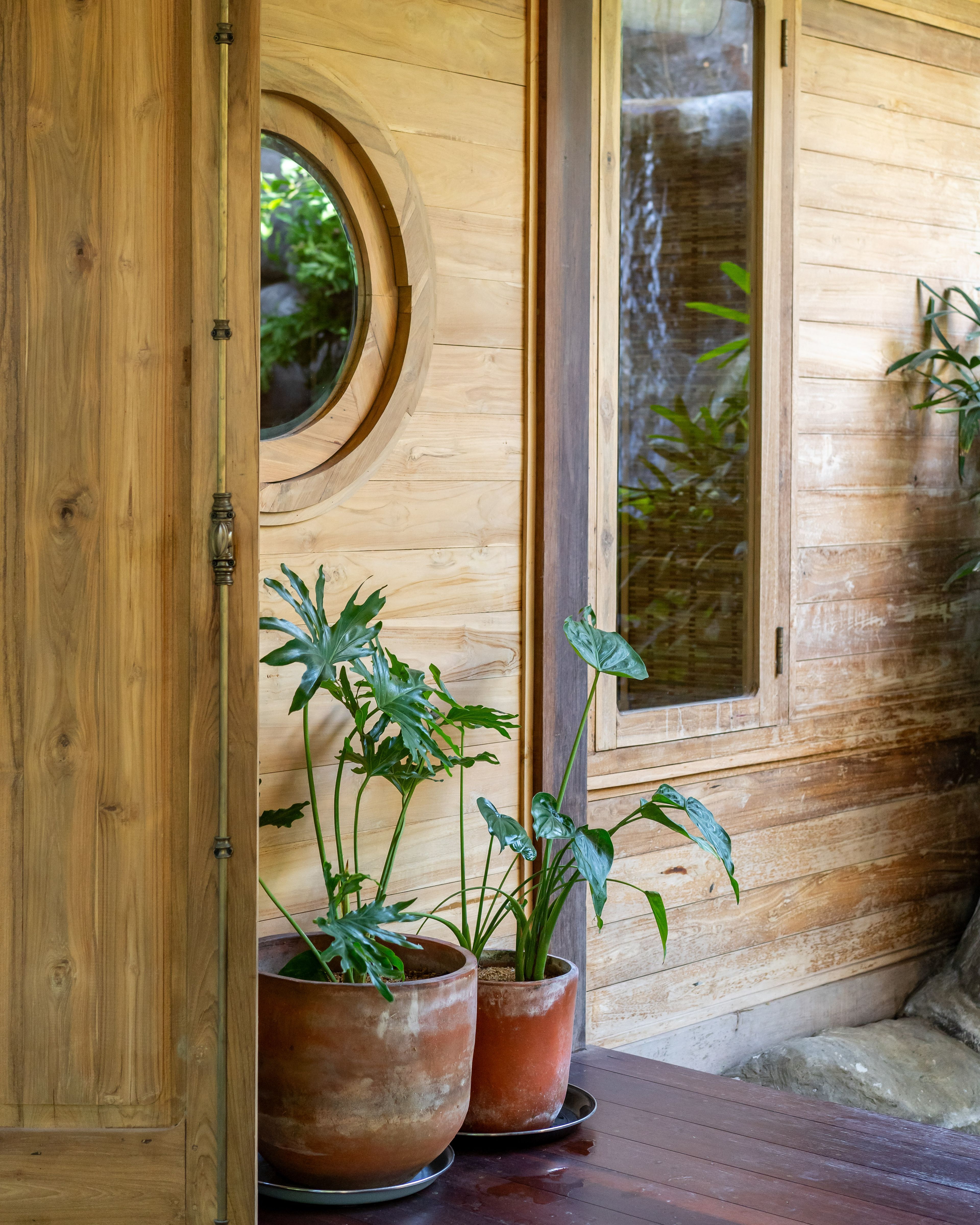 Tall timber doors with a round porthole window, planting crowding the threshold.