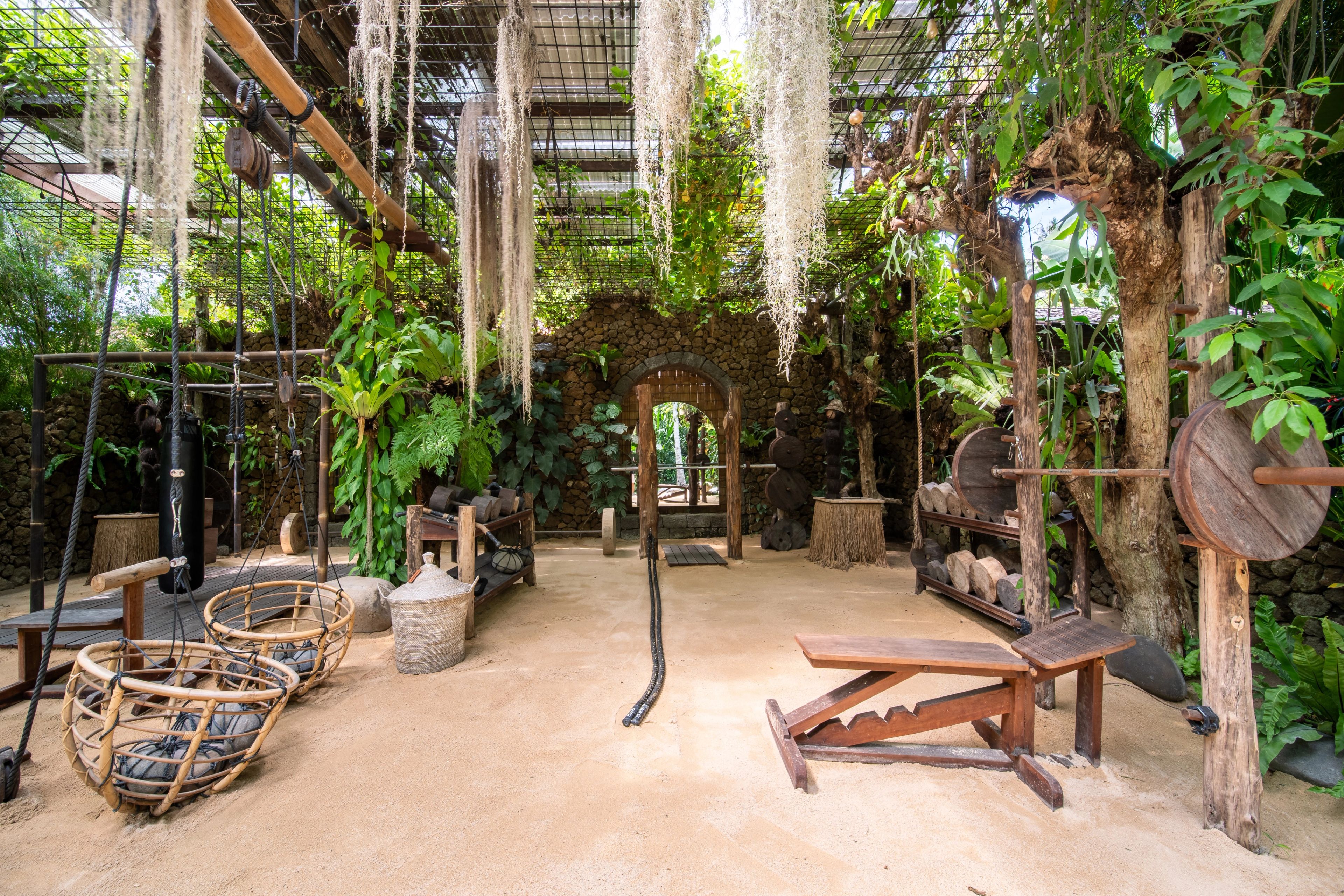 A wide view across the gym: racks, benches and hanging baskets under a trellised roof hung with air plants.