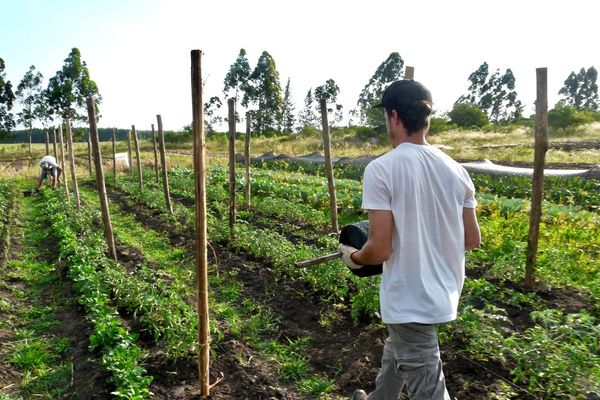 ¿Quién se queda con tu dinero? La verdad detrás del precio de tus alimentos (y cómo cambiarlo)