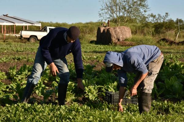 De Colonia Mabragaña a tu mesa: La historia de Granja 5 Gurises