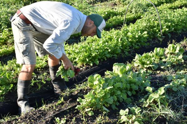 De Productor a Programador: ¿Por qué creé Ojapo?