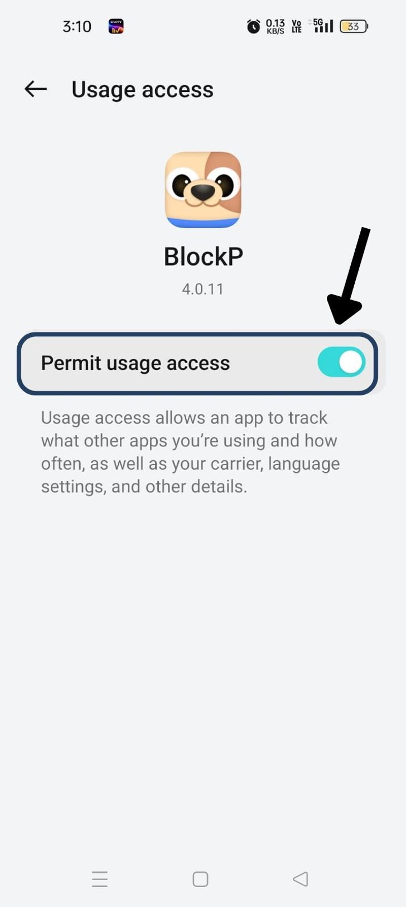 permit usage access