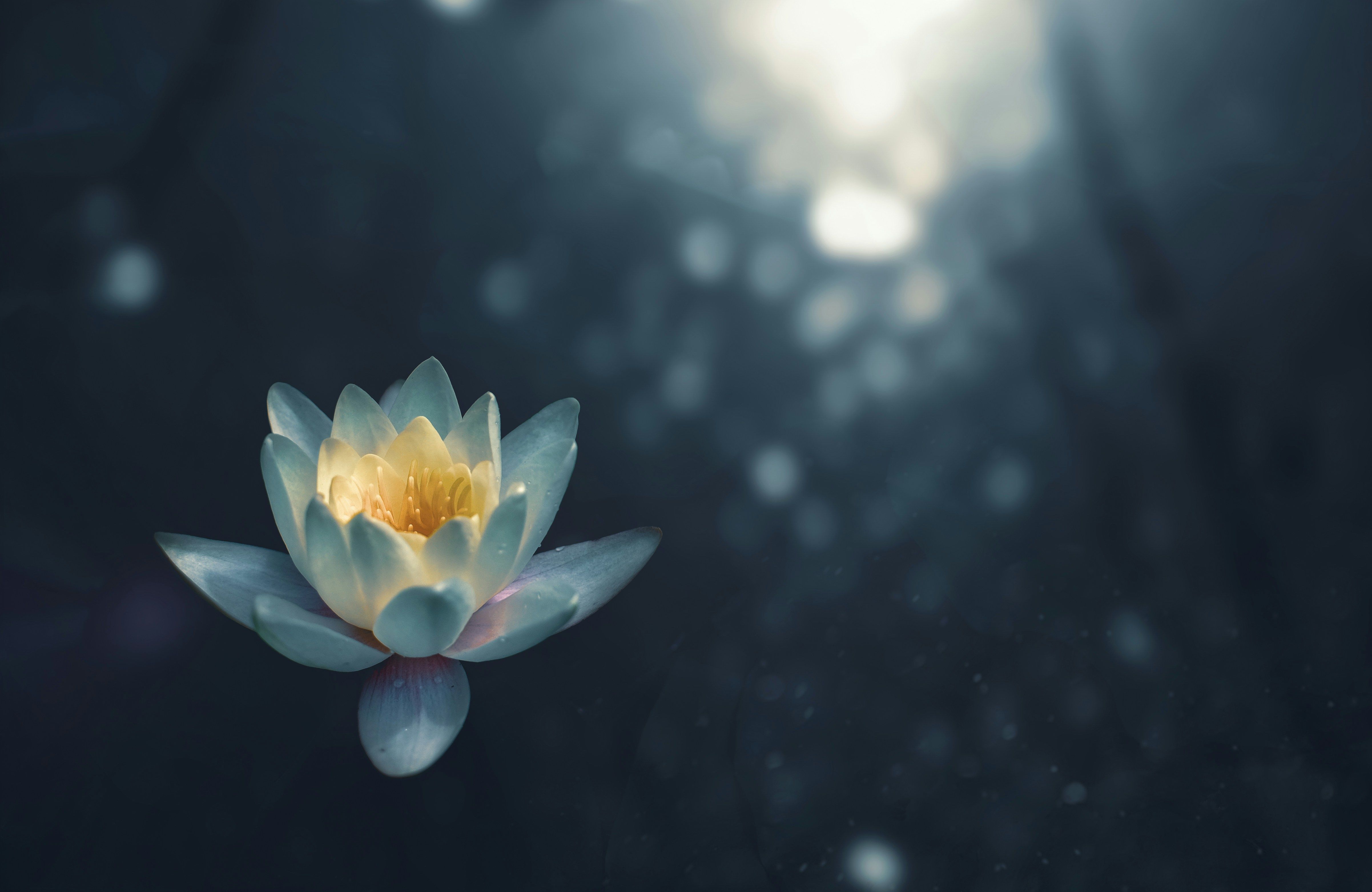 Mental Clarity