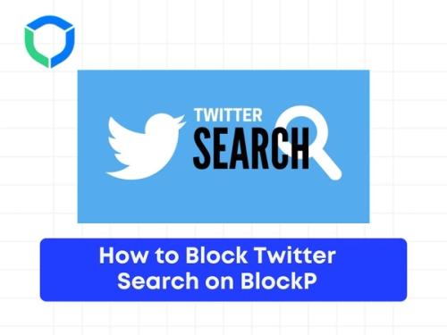 如何在 BlockP 中屏蔽 Twitter 搜索