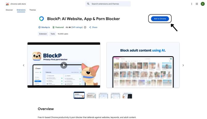 Install the BlockP Chrome extension