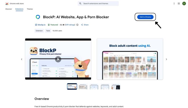 Install the BlockP Chrome extension