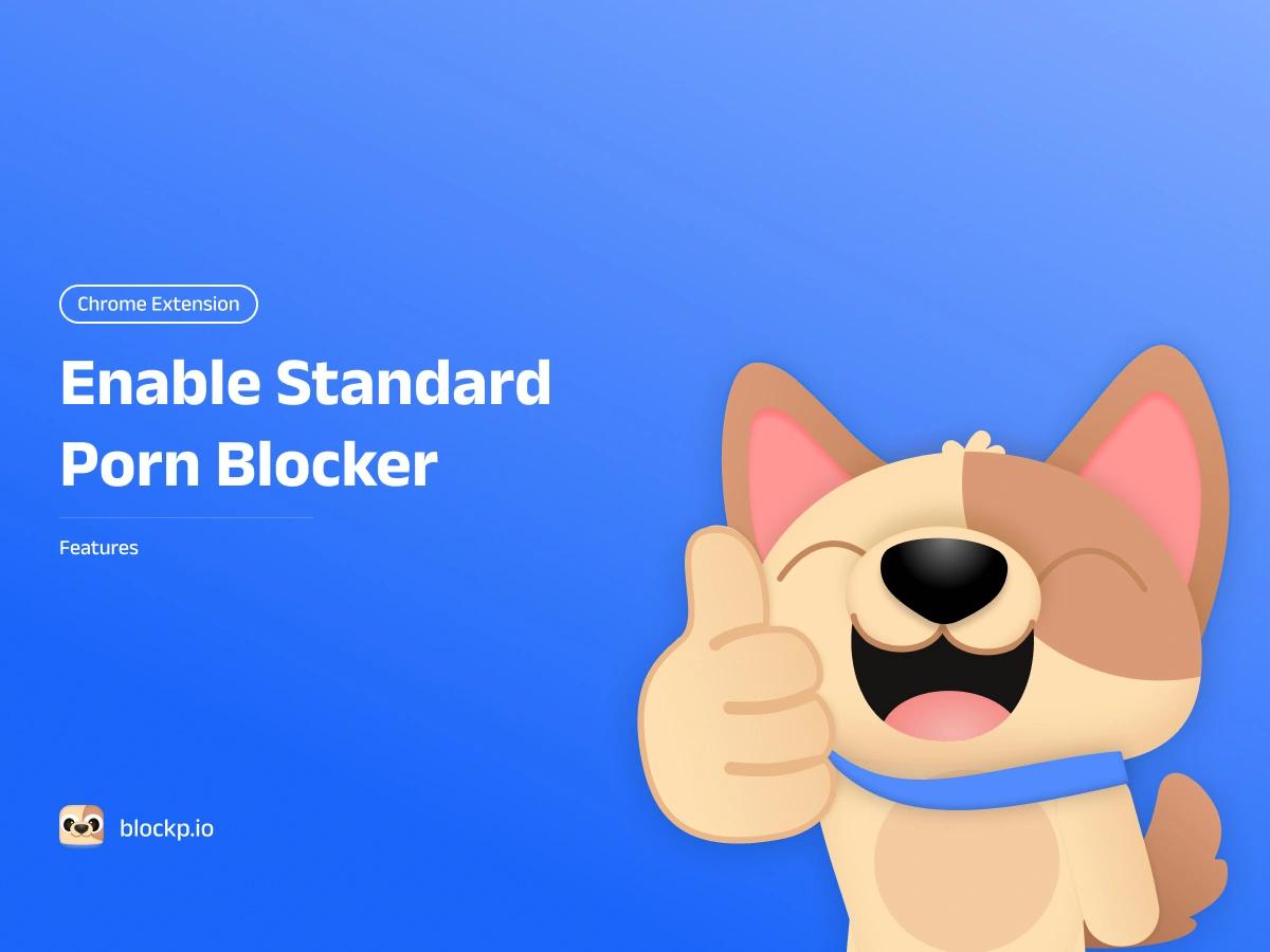 Standard Porn Blocker Extension