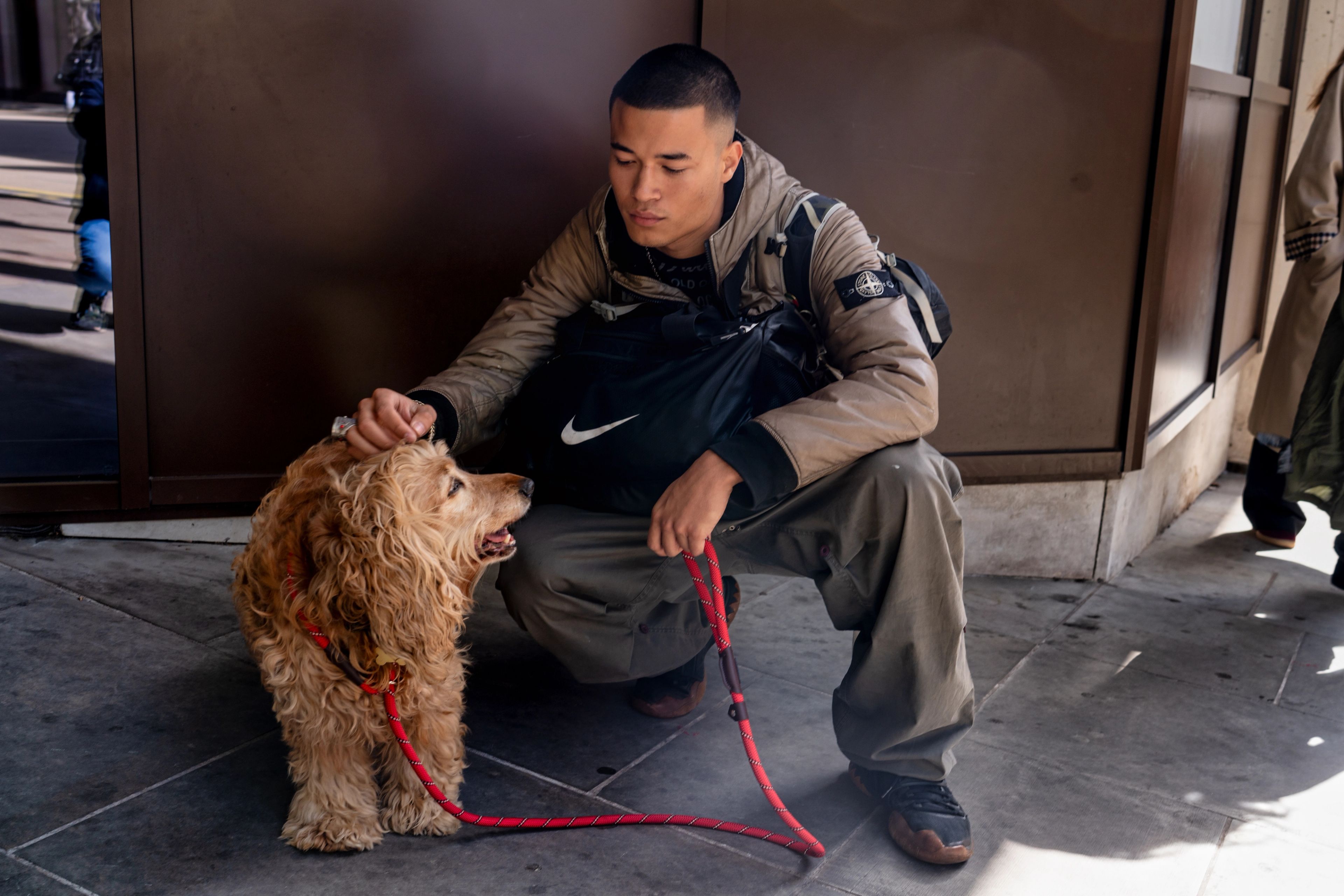 An image without an alt, whoopsAn image without an alt, whoops