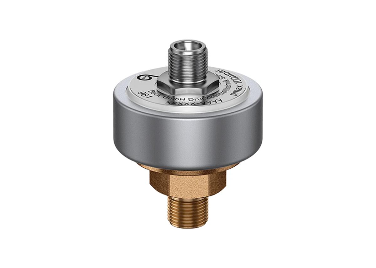 Level Transmitter 981