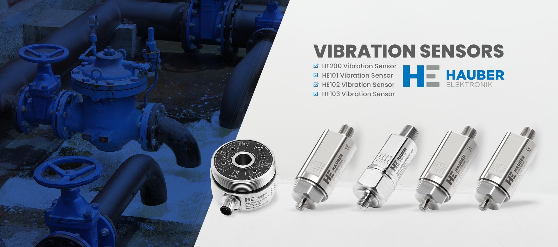 HAUBER Elektronik Vibration Monitoring