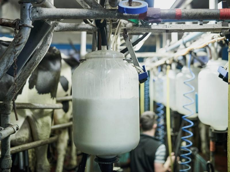 Food & Dairy