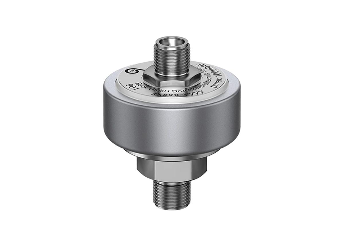 Level Transmitter 981