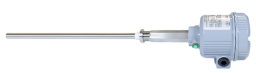PM-1