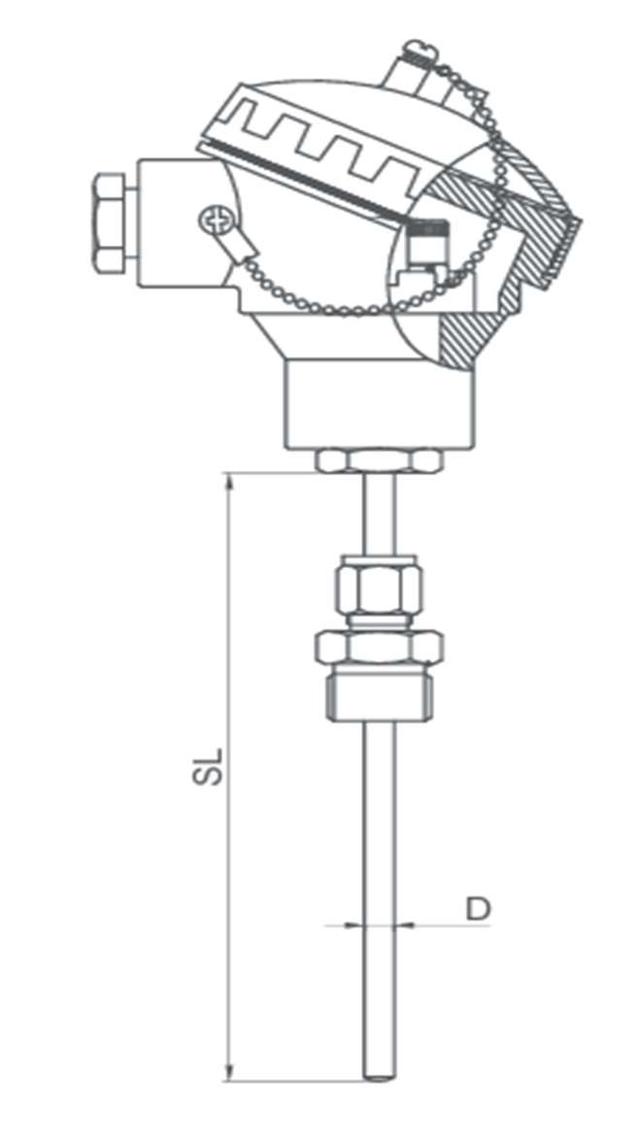 Regular RTD Construction and Dimensions