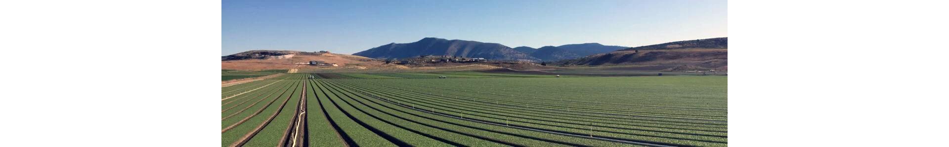 Duncan Family Farms® — image 2