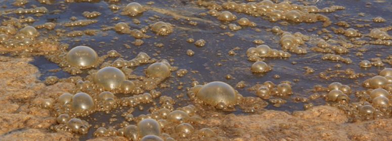 Sewage gas / biogas quantity measurement in wastewater treatment — image 1