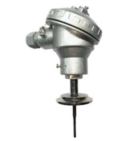 Sanitary RTD Sensor with Tri-Clover Connection