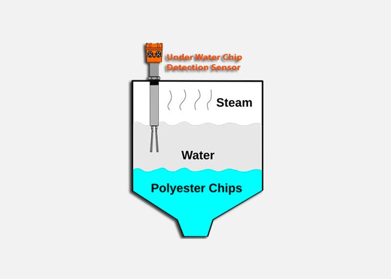 Polyester Chips