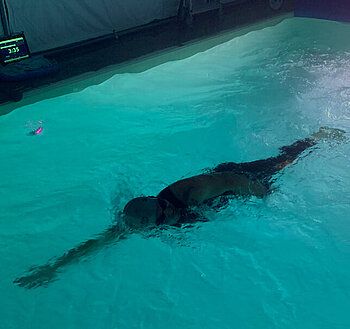 Measuring flow velocity in (swimming) pools — image 2