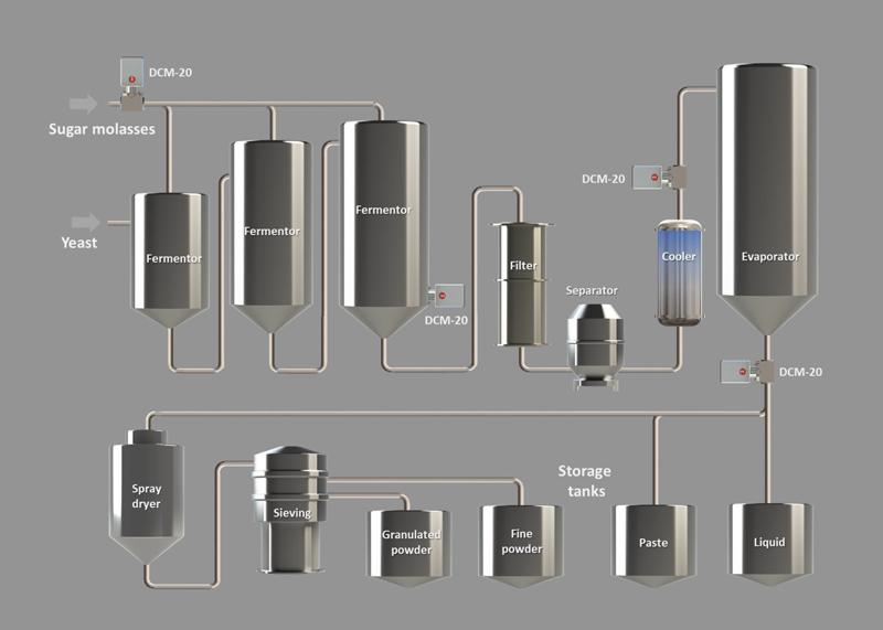 Yeast Extraction