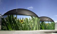 Biogas Generation