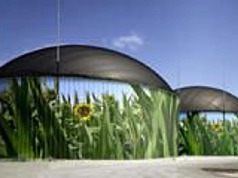 Biogas Generation