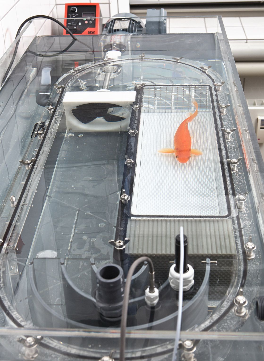 Flow measurement in flowing waters (e.g. fish passes) — image 2