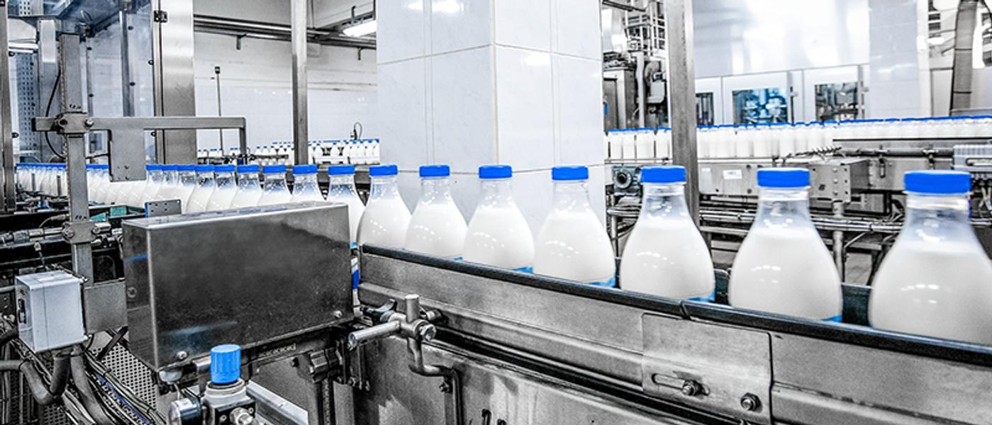 Dairy plant