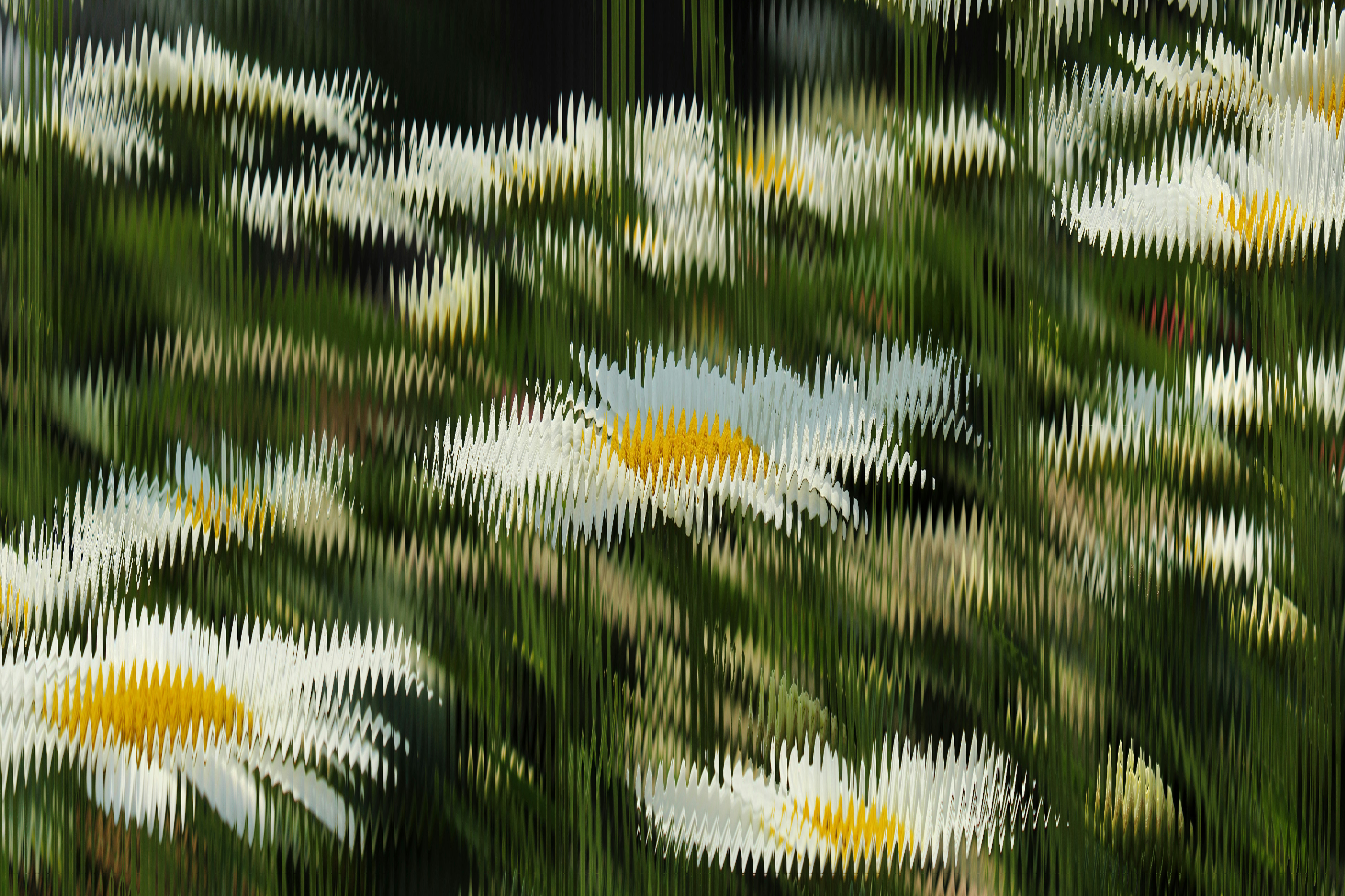 Ripple image of flowers