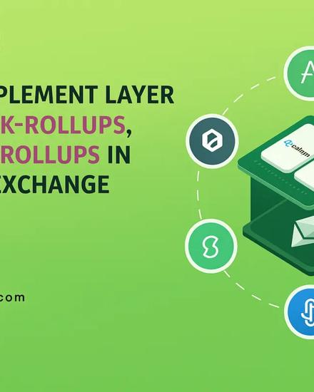Maximize Your DeFi Exchange ROI with Layer-2 Rollup Integration