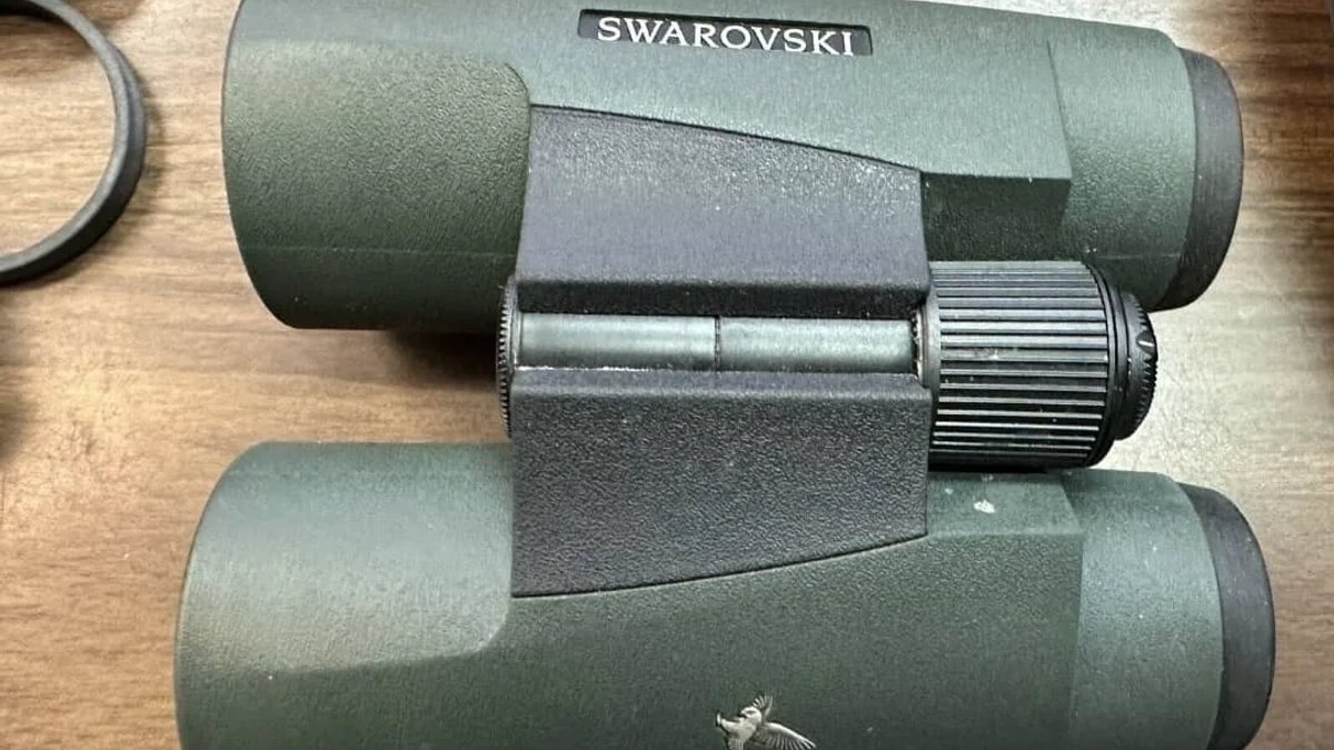 Swarovski Fernglas 10x42 SLC grün | Hunting and fishing | Bruges | Ad gallery (SEO) | 3