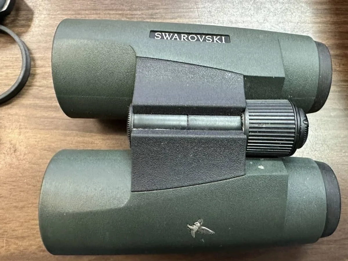 Swarovski Fernglas 10x42 SLC grün | Hunting and fishing | Bruges | Ad gallery (SEO) | 2