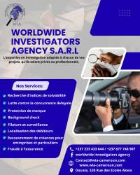 Private detective ,background check ,due diligence in cameroon