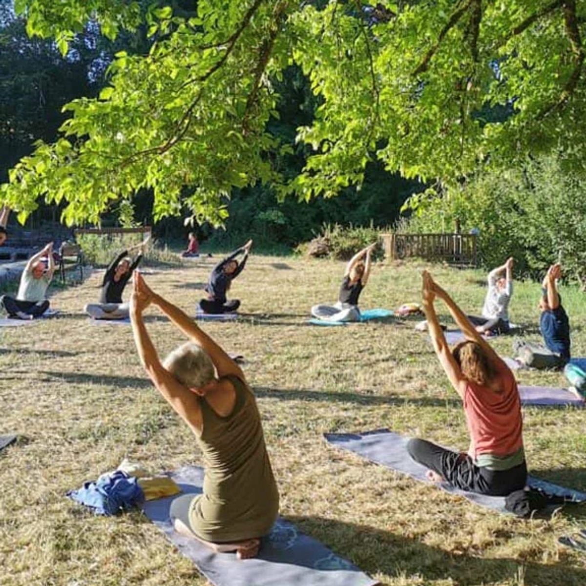 Yoga Teacher Training Netherlands | Indian Classical Yoga | Courses | Amsterdam | Ad gallery (SEO) | 1