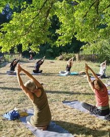 Yoga Teacher Training Netherlands | Indian Classical Yoga