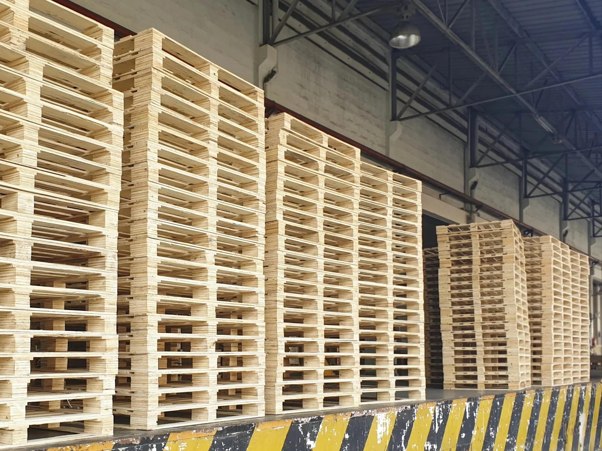 Sciascia Holz GmbH - 1