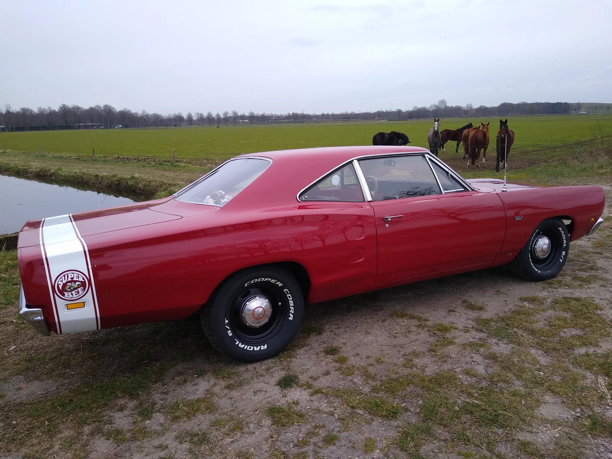 Dodge Super Bee 1969 | Dodge | Nijmegen | 3