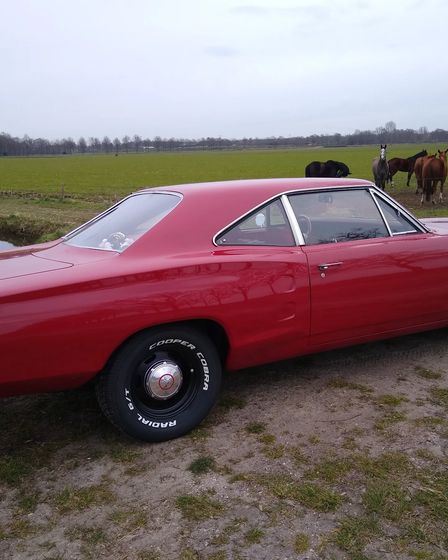 Dodge Super Bee 1969 | Dodge | Nijmegen | 3