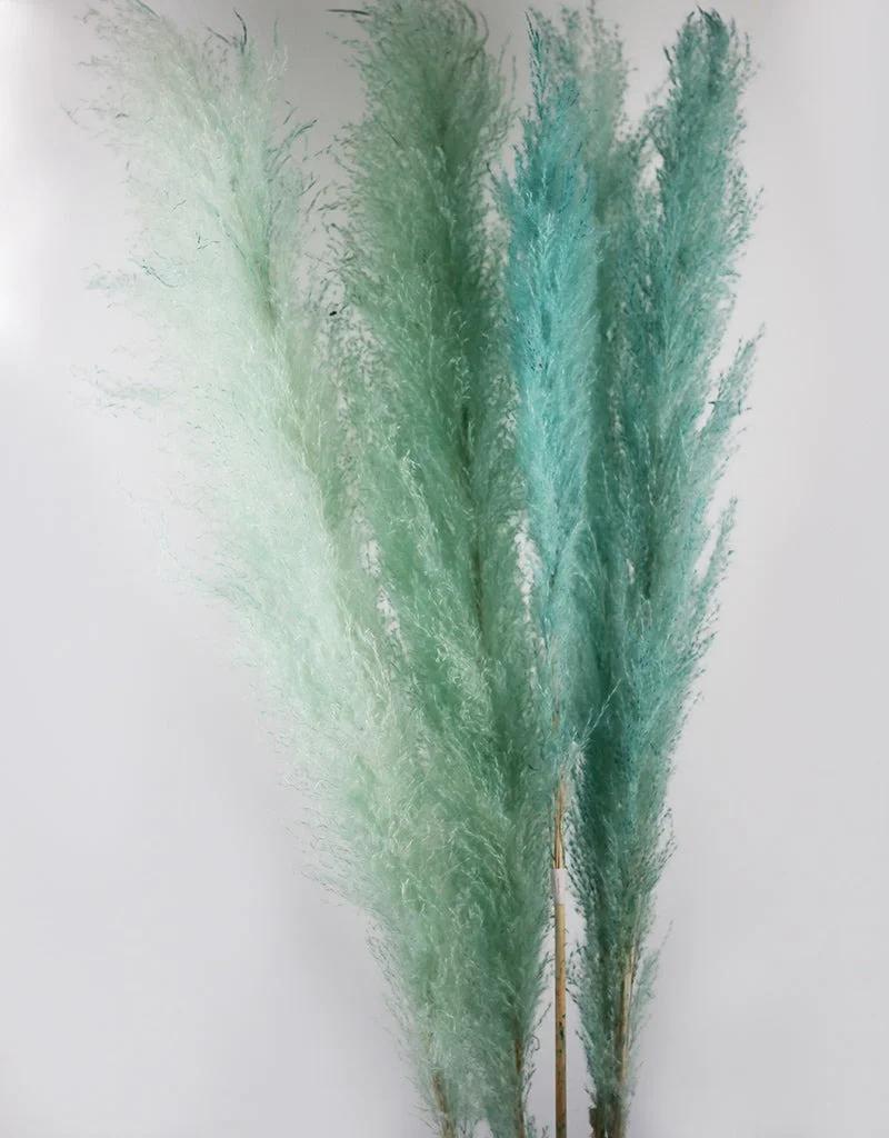 Buy Dried Pampas Grass UK — No Trade Account, Up to 35% Off, Free Delivery Over £150 | Flowers, floristry | Birmingham | 3