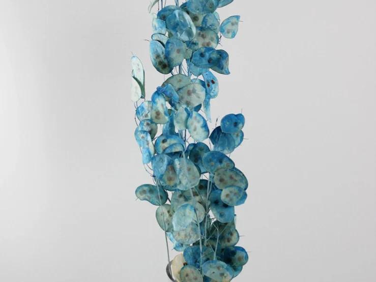 Dried Flowers & Decor Ltd - 3