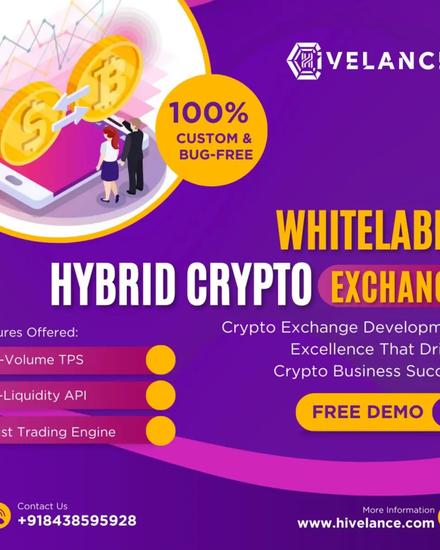 Launch Your Elite Hybrid Crypto Exchange at Low Cost