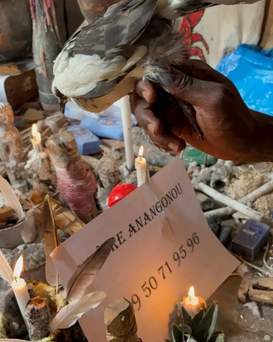 Retour affectif amoureux immédiat. Tél +22950719596. Rituel de retour affectif immédiat