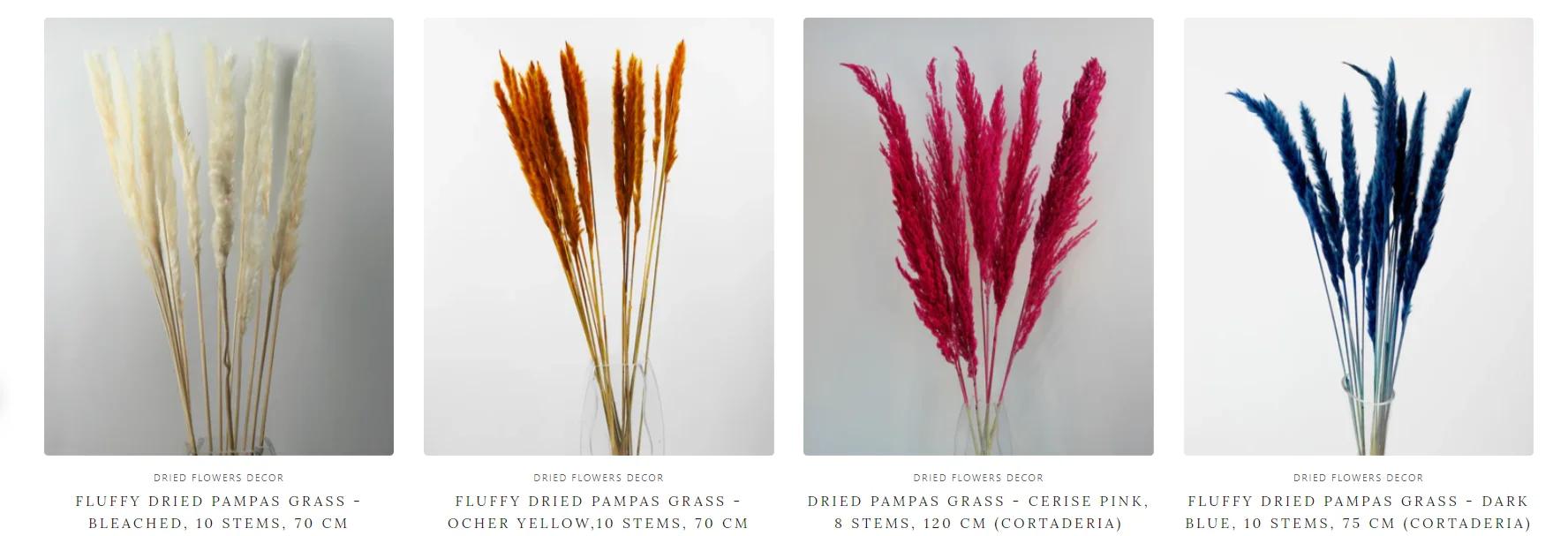 Buy Dried Pampas Grass UK — No Trade Account, Up to 35% Off, Free Delivery Over £150 | Flowers, floristry | Birmingham | 2