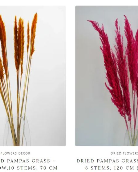Buy Dried Pampas Grass UK — No Trade Account, Up to 35% Off, Free Delivery Over £150 | Flowers, floristry | Birmingham | 2