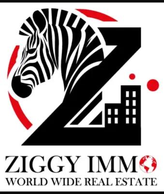 ZiGGy iMMo WorldWide REAL Estate