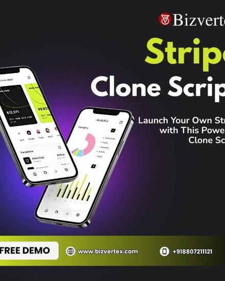 Launch Your Own Stripe with This Powerful Clone Script